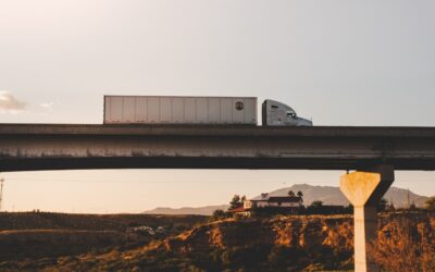 Newsletters 1 Shaping A Sustainable Future For South Africa